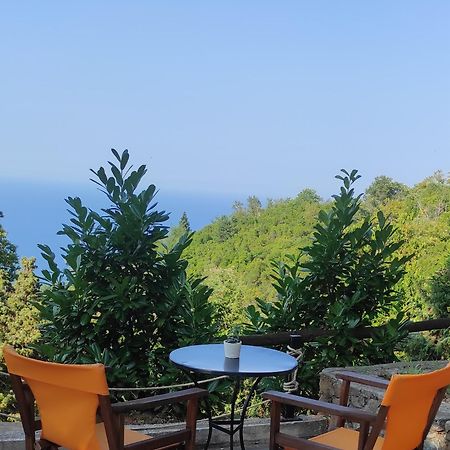 Kastania Gi Apartment Palaios Panteleimonas Bagian luar foto