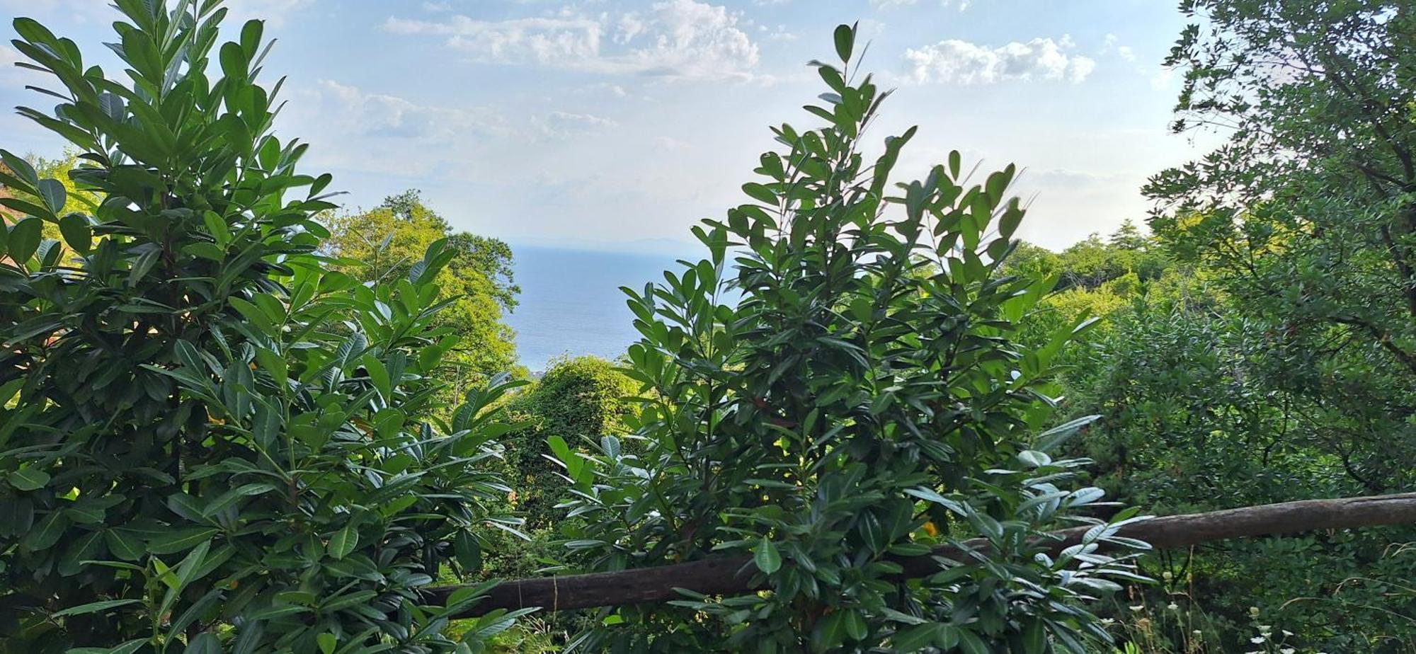 Kastania Gi Apartment Palaios Panteleimonas Bagian luar foto